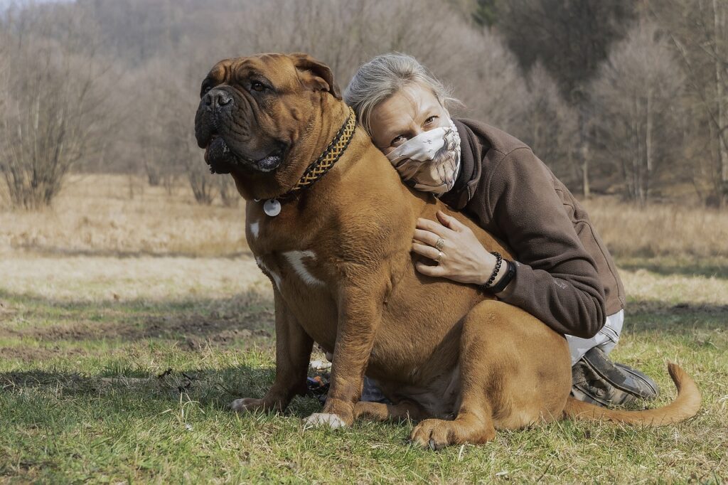 quel chien est fait pour moi